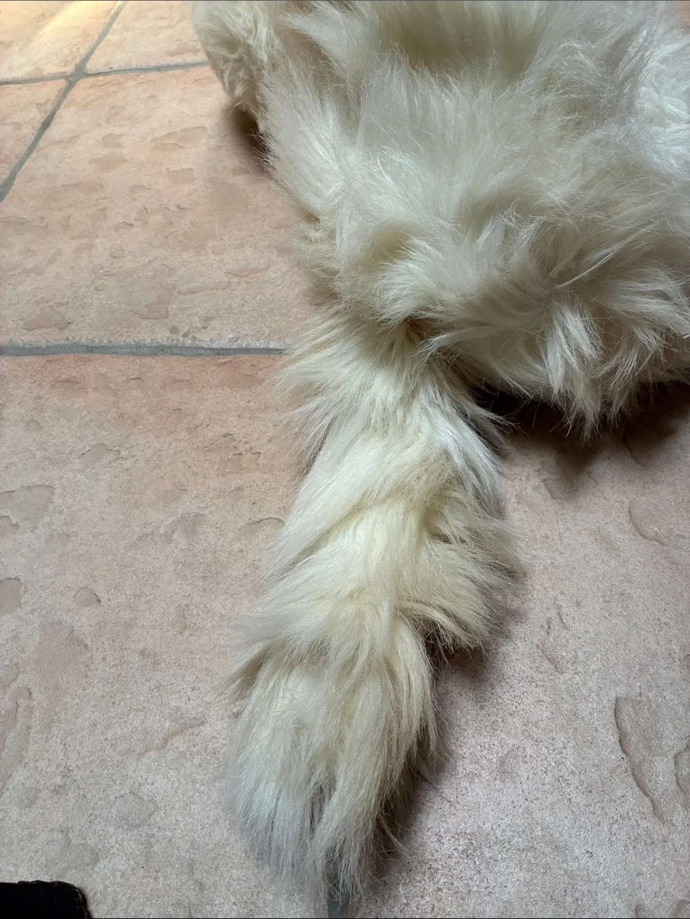 Kellytoy Cream Plush Long-Fur Persian Cat with Brown Nose